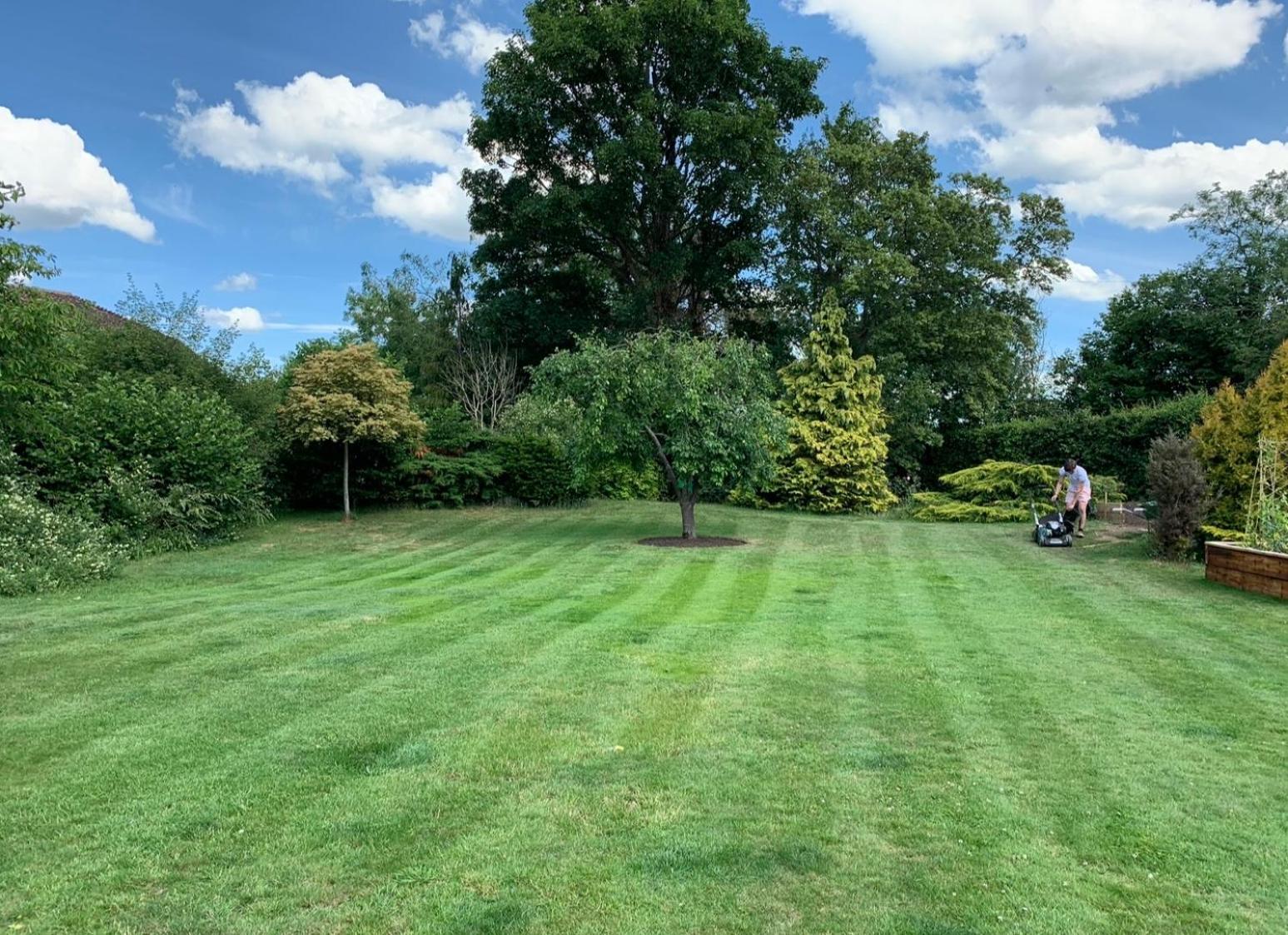 The Cottage Get Away Saffron Walden Esterno foto